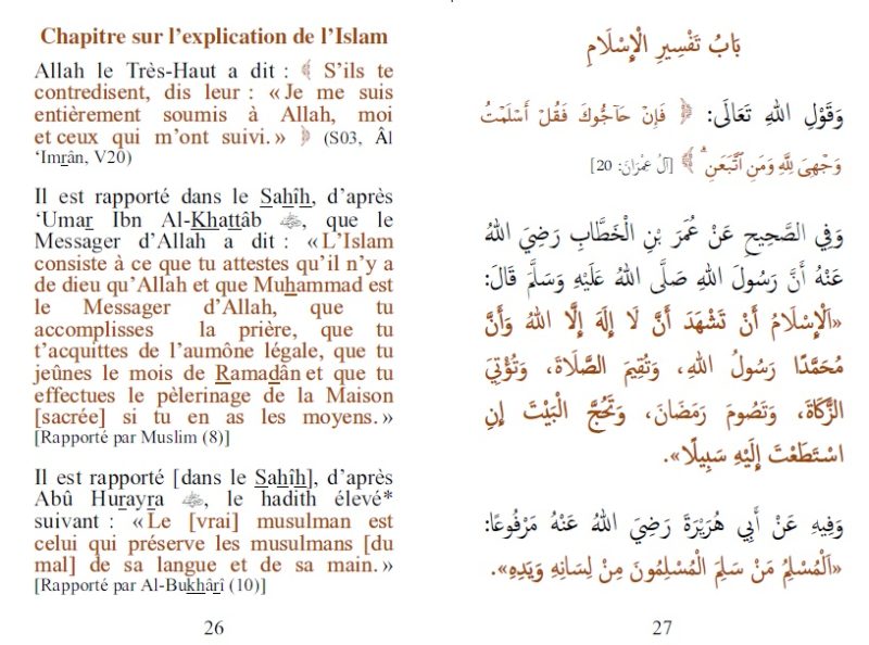 Le Merite de lIslam 2 - senlibrairie