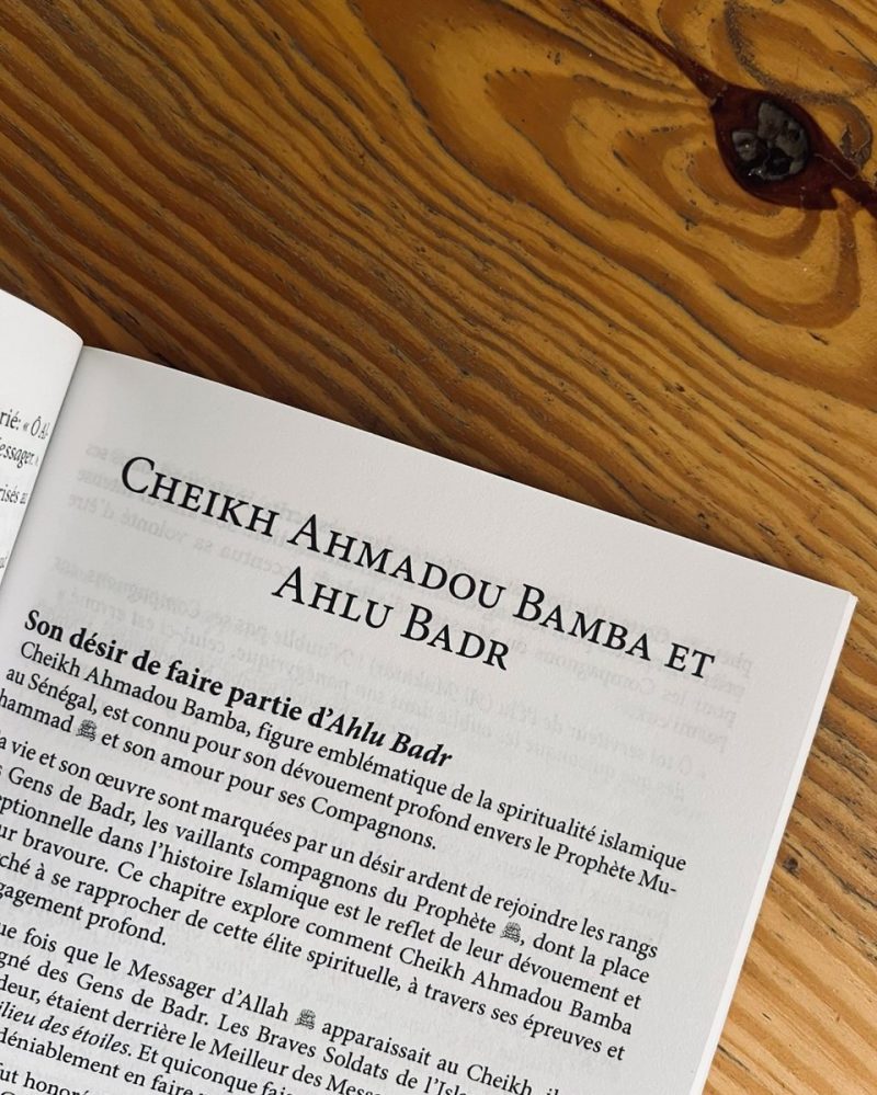 La Bataille de Badr 9 - senlibrairie