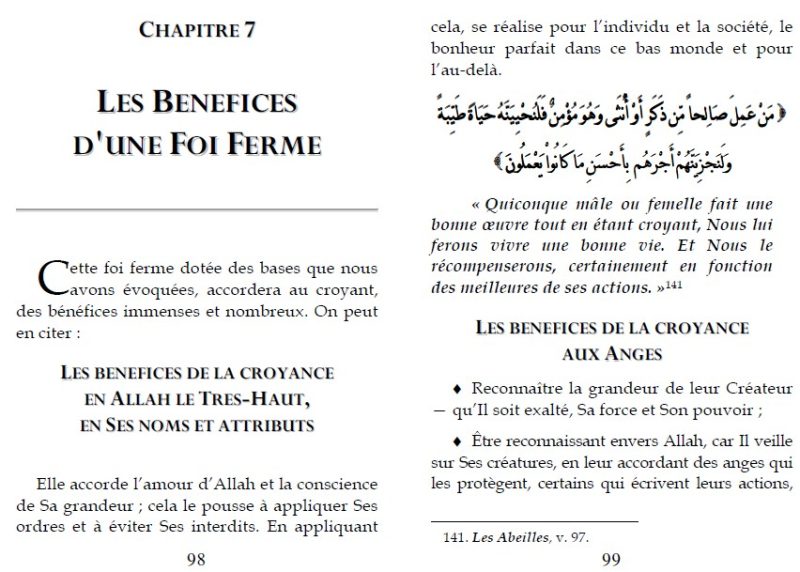 La profession de foi des gens de la sunna et du consensus 4 - senlibrairie